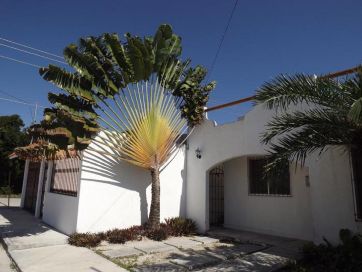 Mazatlan Real Estate