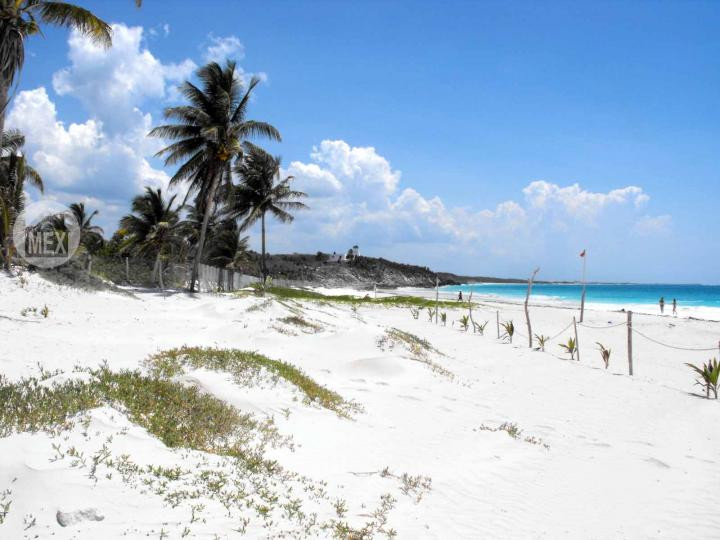 Yucatan Real Estate