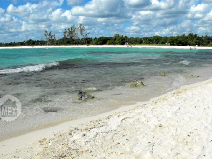 Yucatan Real Estate