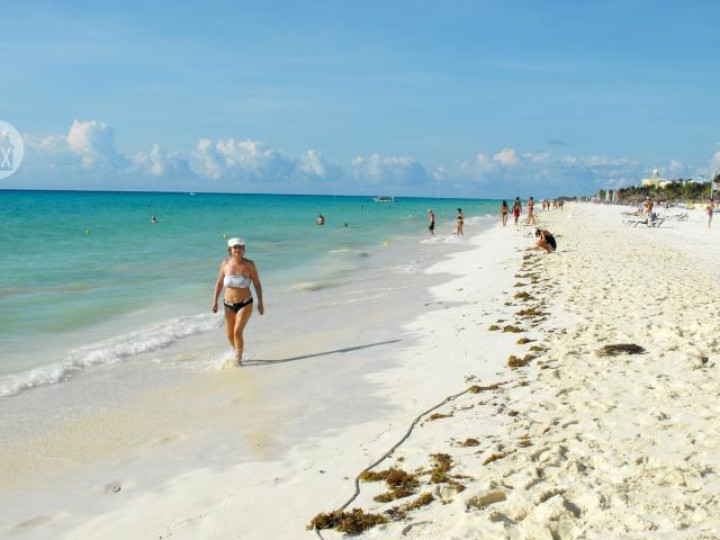 Yucatan Real Estate