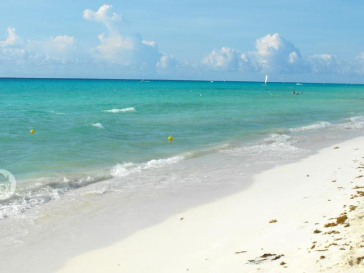 Yucatan Real Estate