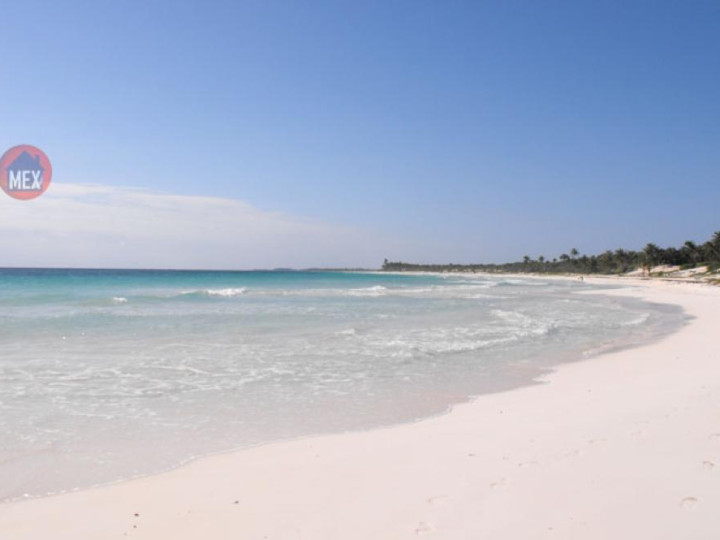 Yucatan Real Estate