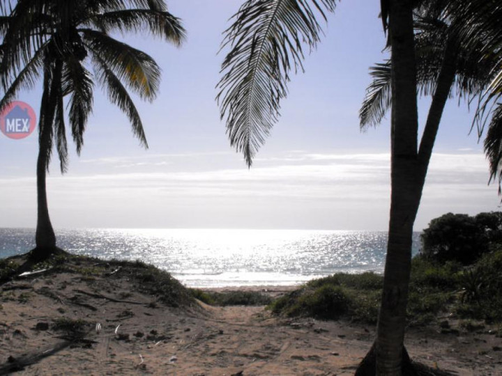 Yucatan Real Estate