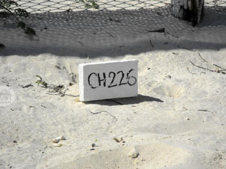 Yucatan Real Estate